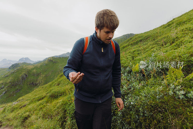 男子在罗浮敦群岛徒步旅行时捡起蓝莓