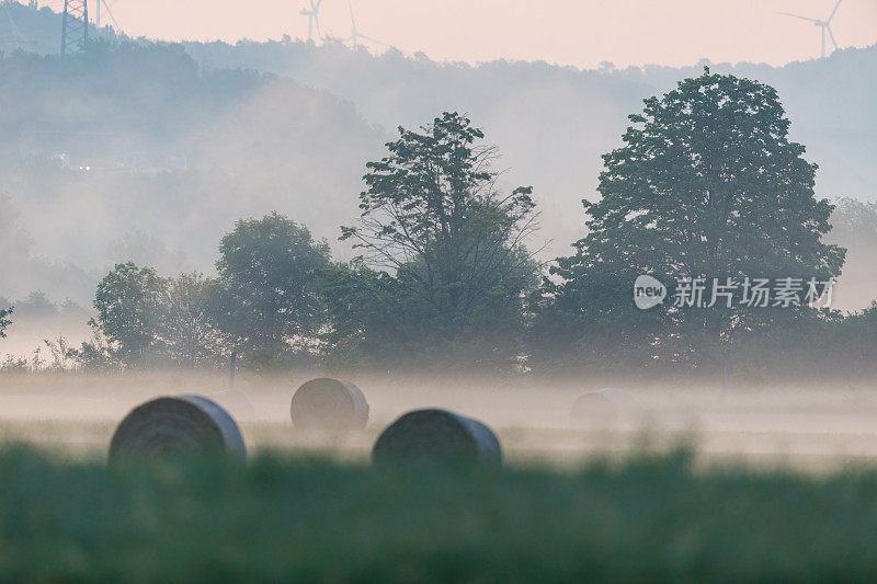 清晨的雾霭中，一捆捆的干草