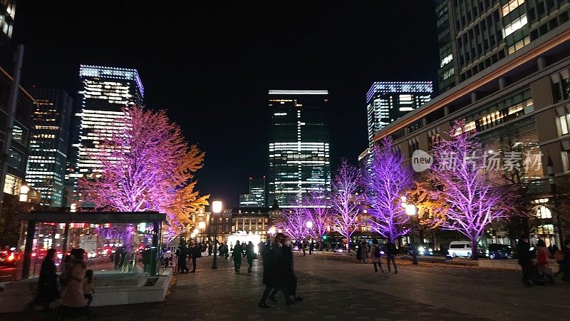 日本。12月。东京的圣诞彩灯。