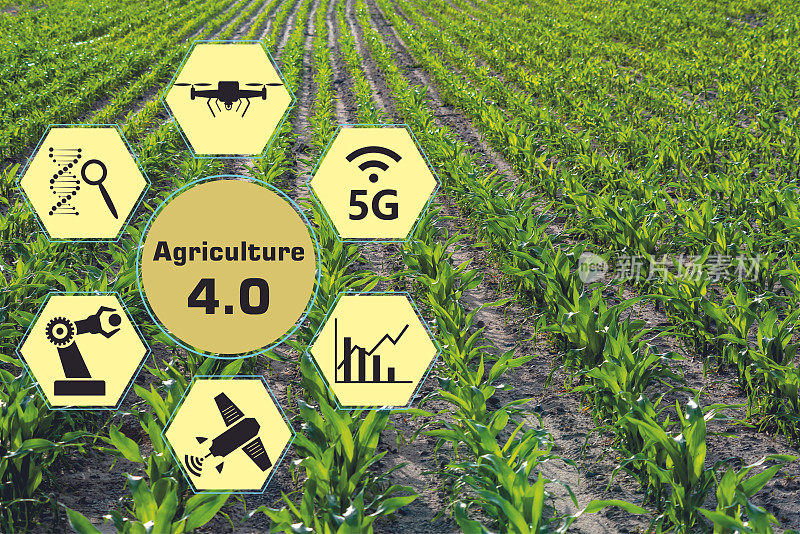 智慧农业4.0概念。农业生产。