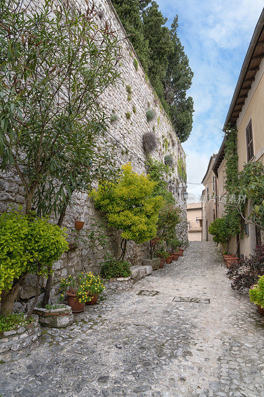 在意大利拉齐奥的福蒙内，有盆栽植物的乡村街道