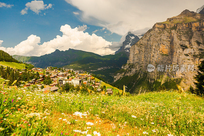 山的风景。Lauterbrunnen。瑞士。伯尔尼州。穆伦村庄。夏天。绿草