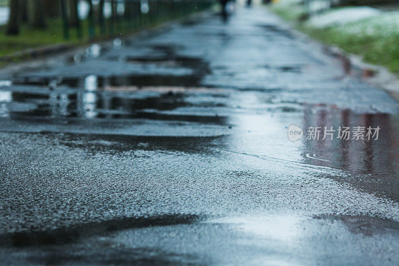 风。柏油路上的水坑。多雨的天气。雨