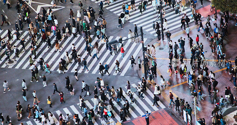 在东京涩谷，一群日本人、亚洲游客、行人在夜晚穿过马路。日本旅游景点，旅游地标，亚洲交通城市生活理念