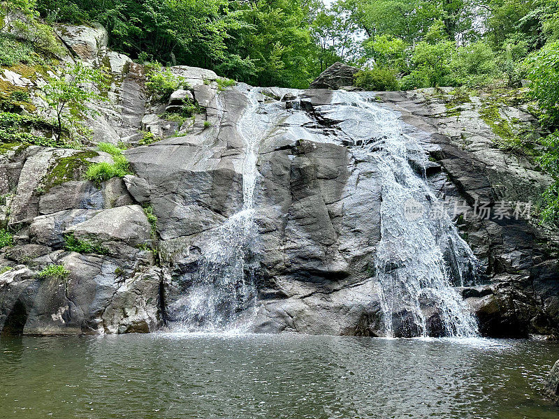 白橡树峡谷-荒野景观