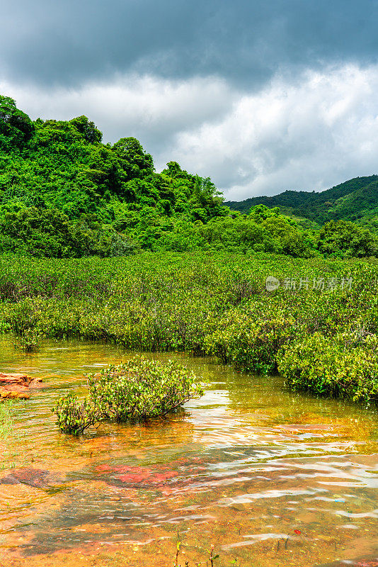 印洲塘海岸公园荔枝窝的乡村景色