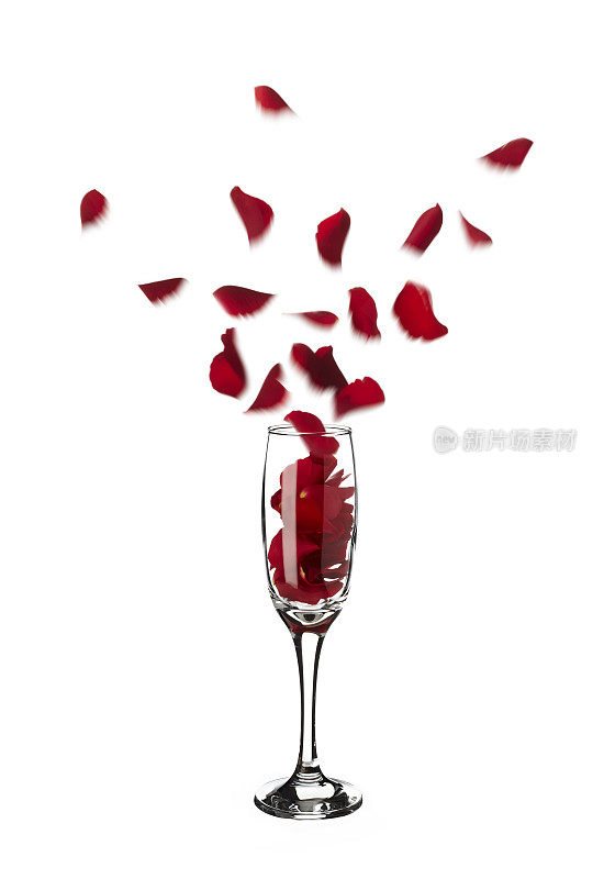红玫瑰花瓣从香槟酒杯中跳出来