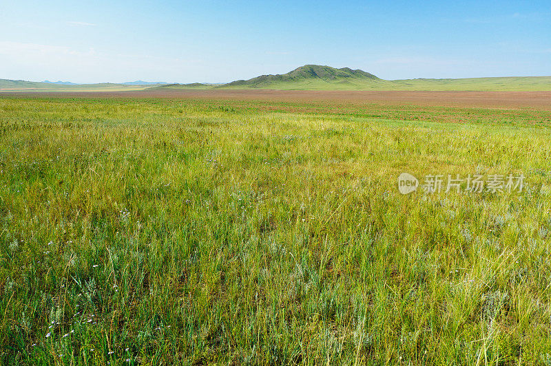 景观在蒙古