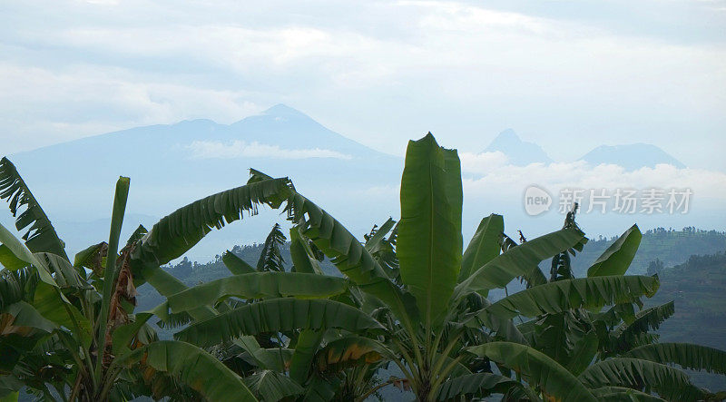 卢旺达:该国北部和维龙加火山