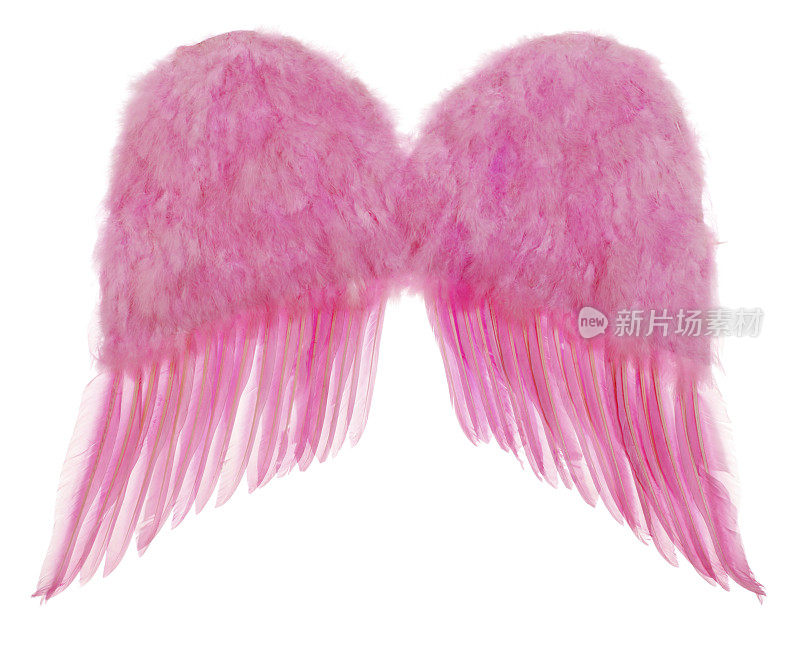 粉色天使翅膀羽毛服装孤立在白色
