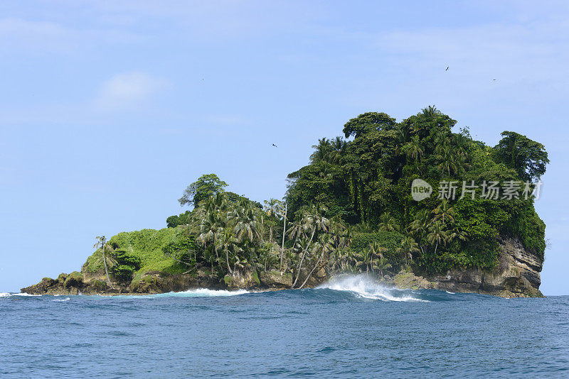 XXXL:巴拿马海岸的鸟岛(帕哈罗斯岛)