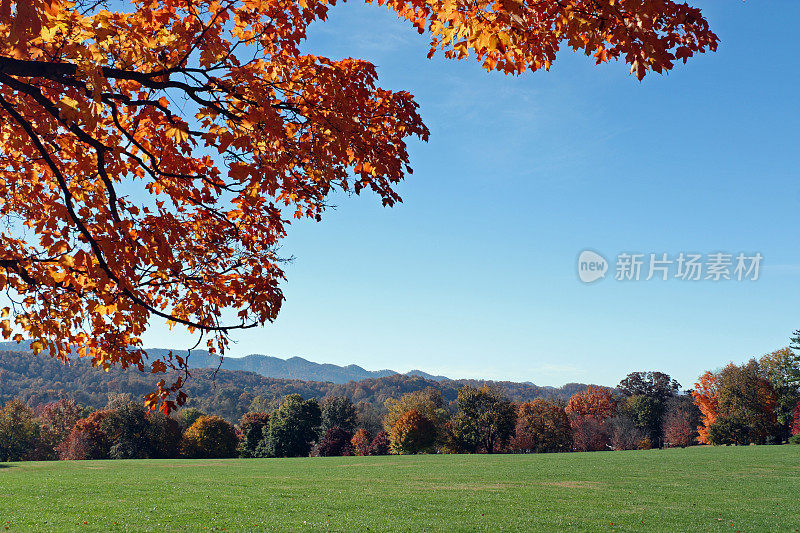 秋天的山景