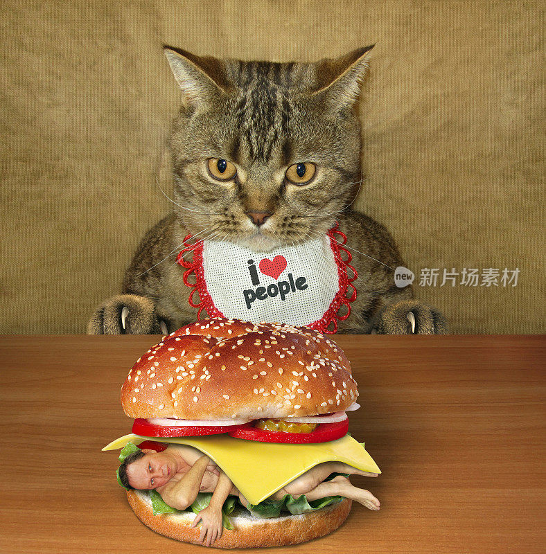 猫和人汉堡