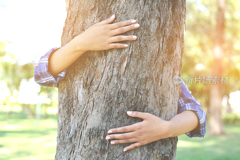 女人拥抱大树色的时髦色调