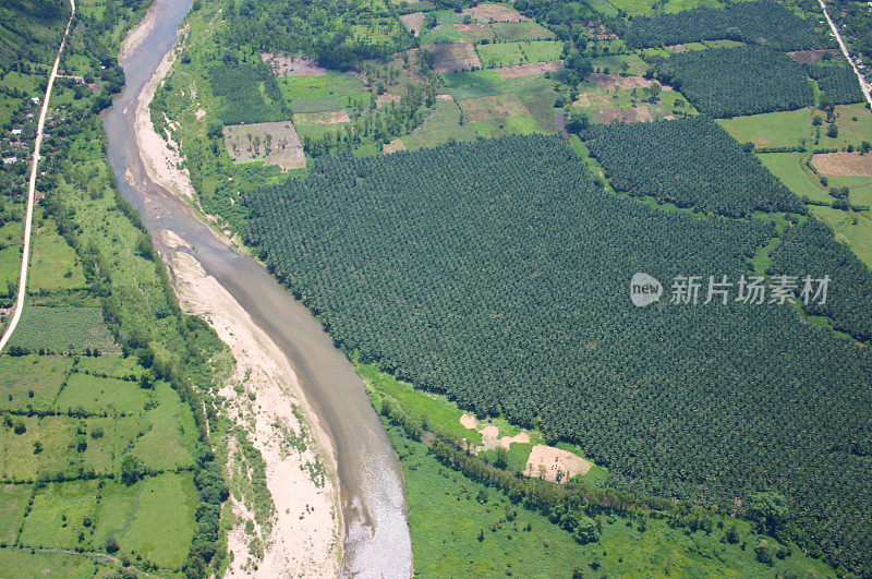 热带棕榈油种植园和大河洪都拉斯