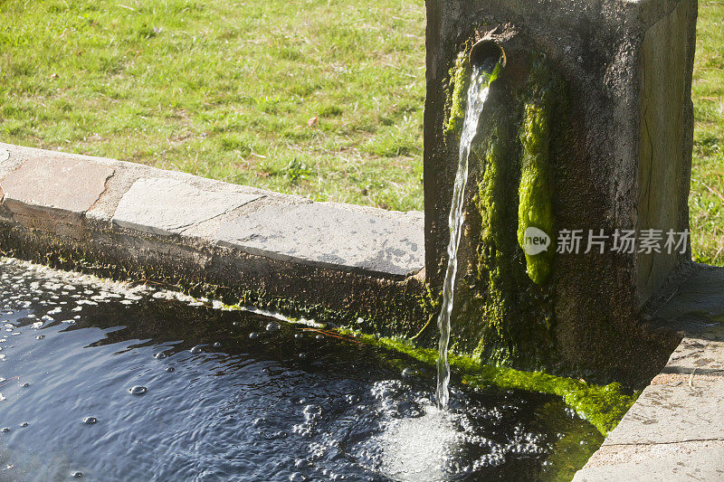 喷泉，喷涌，水面，绿草地。