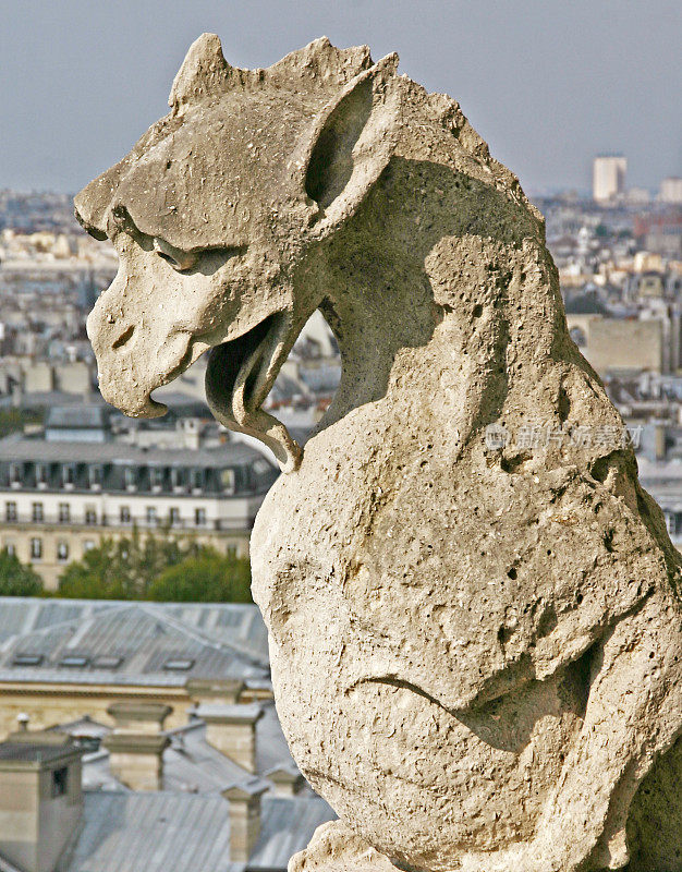 巴黎圣母院的滴水嘴兽
