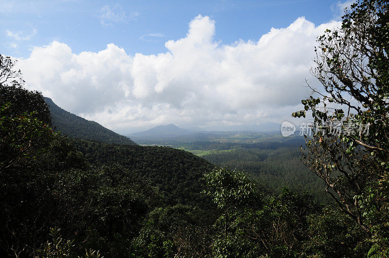 Pattipola,斯里兰卡。