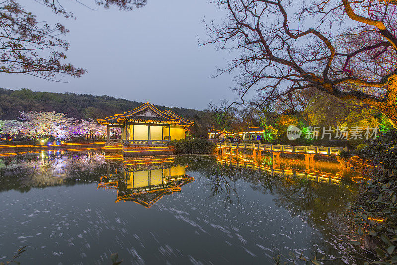 樱花夜古建筑