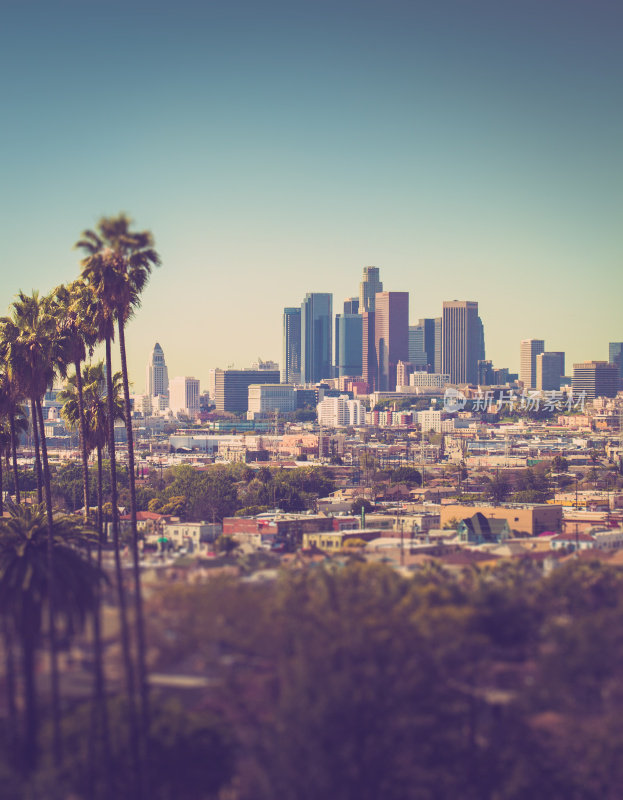 洛杉矶市中心，前景是棕榈树