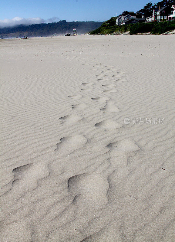 时间之沙掩盖了人类的足迹