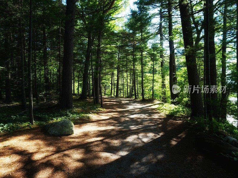 迷人的马克沃斯岛徒步旅行路线，阴影，自然保护区，波特兰，缅因州