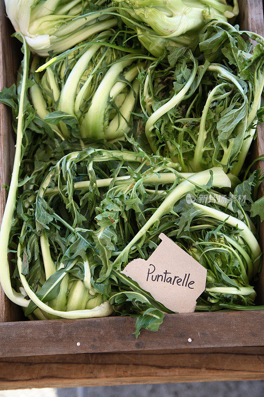 农贸市场:Puntarelle