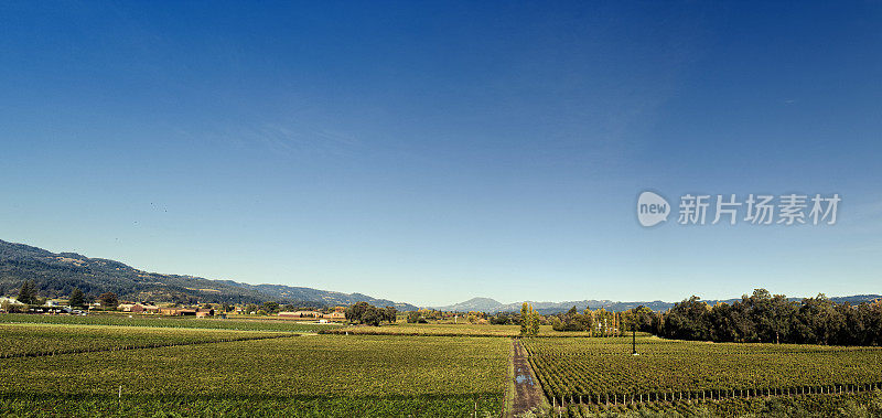 加州葡萄酒之乡全景