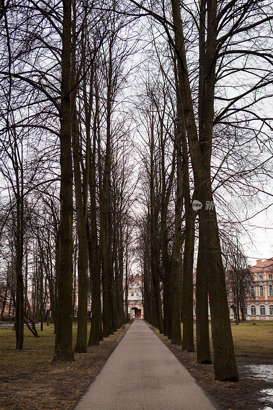 亚历山大涅夫斯基修道院公园，圣彼得堡