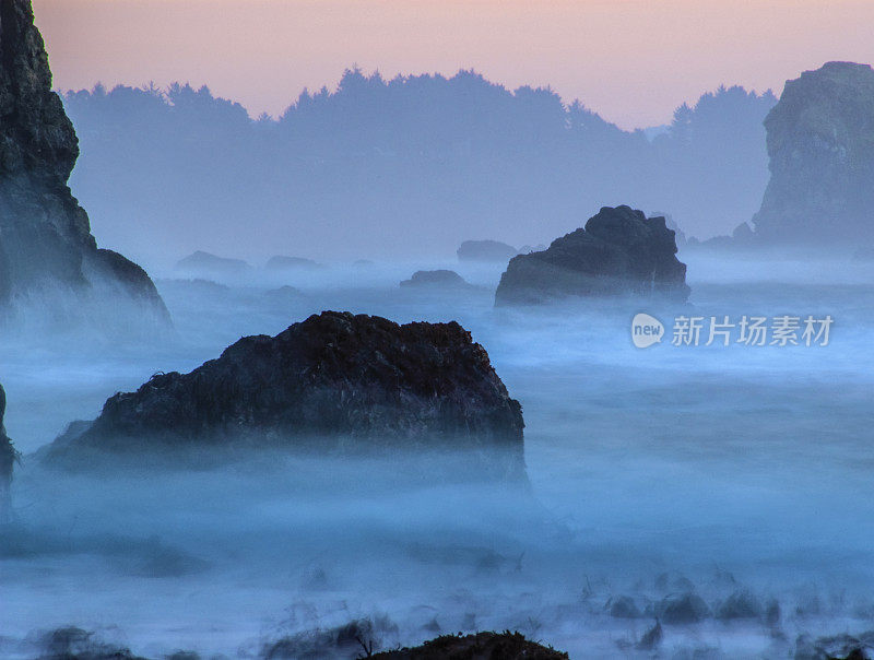 有雾的海洋《暮光之城》