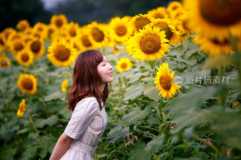 年轻女子离向日葵更近了