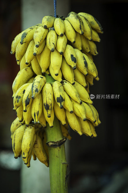 小镇街头市场上的新鲜水果