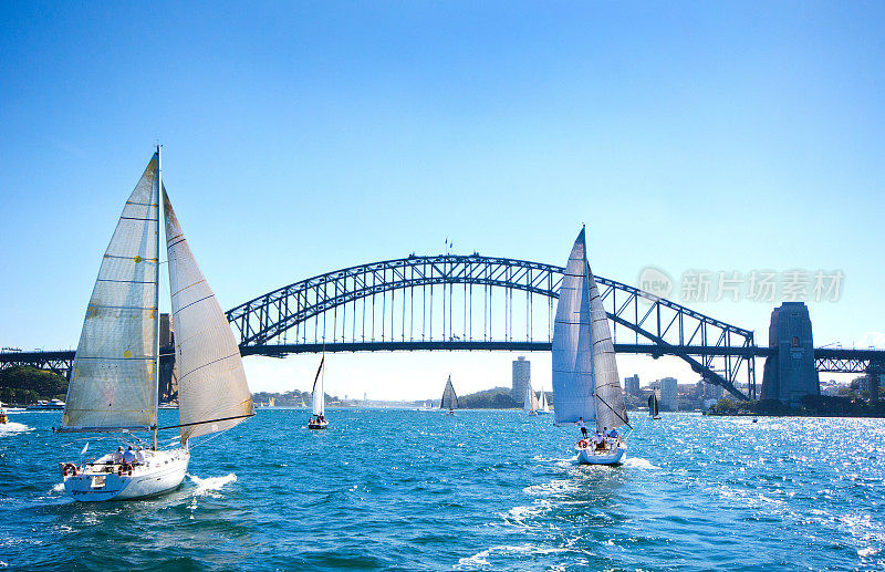 在澳大利亚悉尼海港大桥上划船