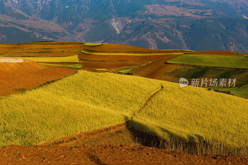 昆明附近的东川红土。Wumeng山区。中国