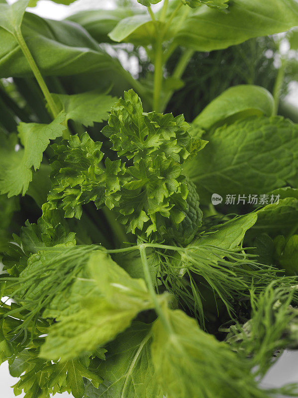 混合香草花园