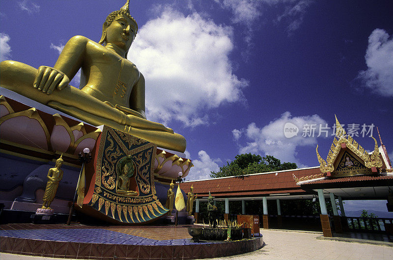 泰国，苏梅岛，佛像。