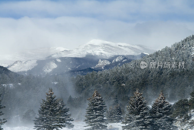 埃文斯山吹雪