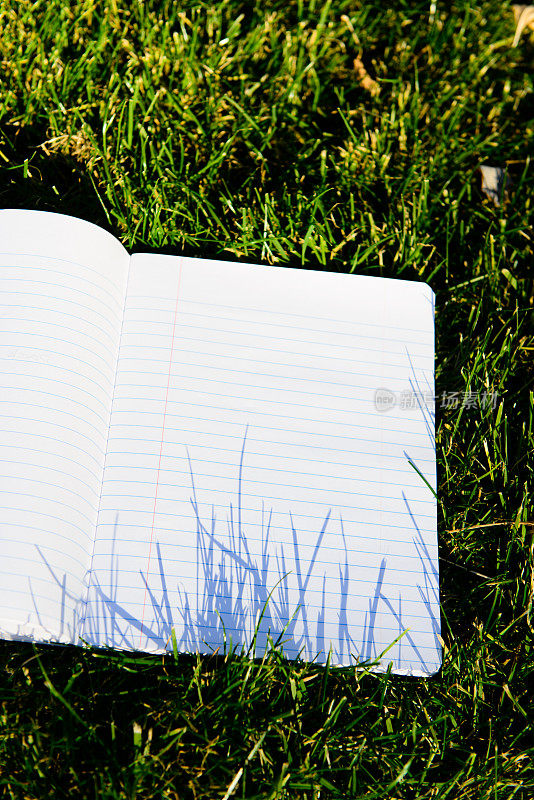 笔记本上的草-垂直