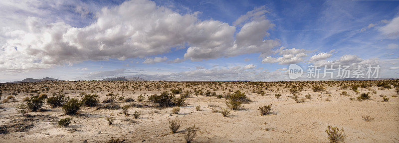 莫哈韦沙漠全景