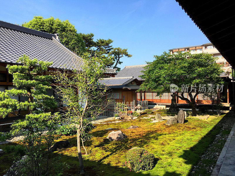日本京都的春寺