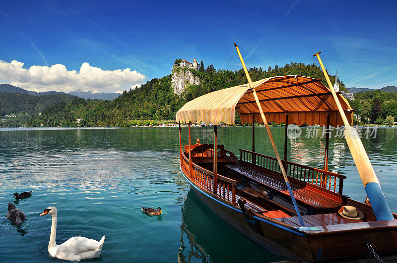 传统的普莱特纳船在湖上与天鹅。背景是悬崖上著名的古堡。流血湖斯洛文尼亚,欧洲