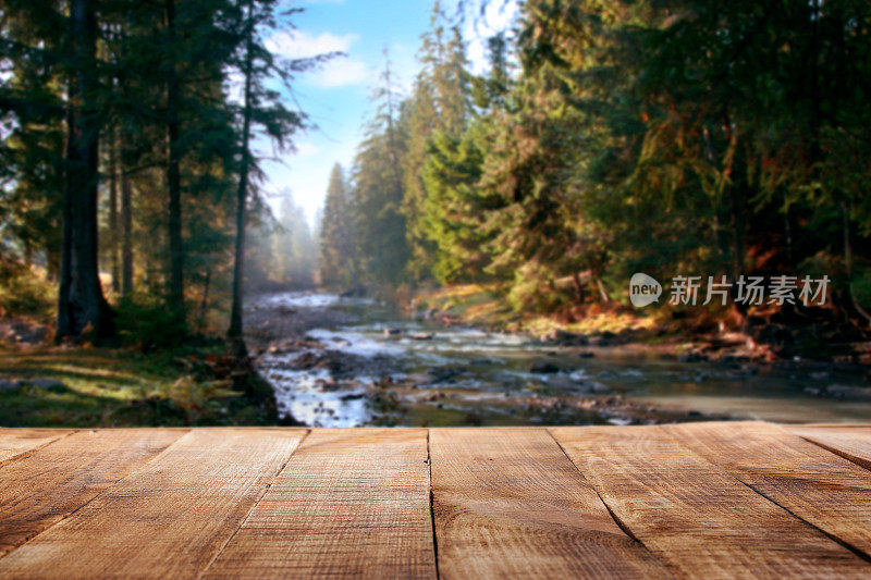 森林背景下的空木桌
