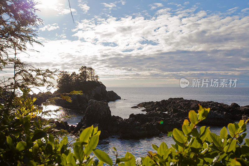 沿着野生太平洋小径的海景，Ucluelet