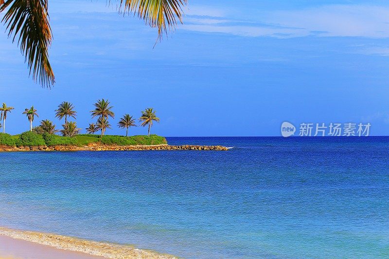天然游泳池，海滩热带棕榈树-蒙特哥湾-牙买加，加勒比海