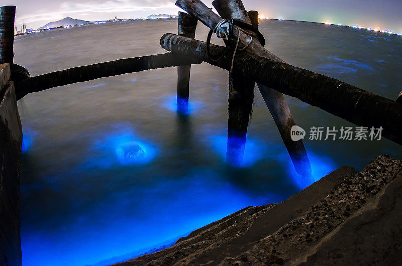 泰国春武里邦盛发光的海洋浮游生物