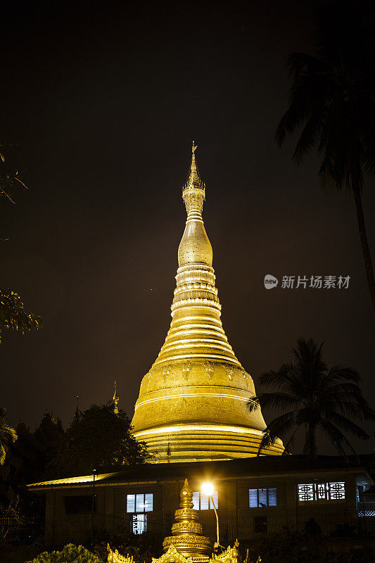 大金柏寺