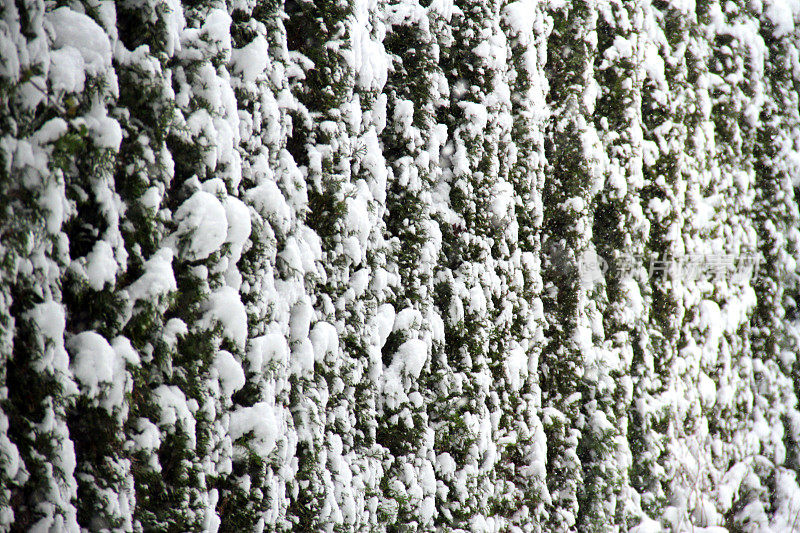 涂在雪