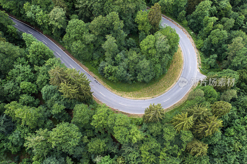 蜿蜒的道路穿过森林