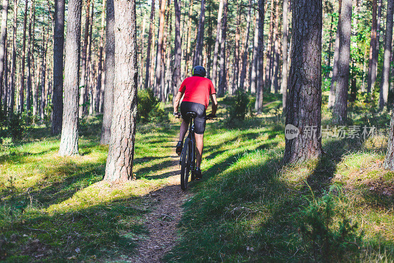 在森林中骑自行车