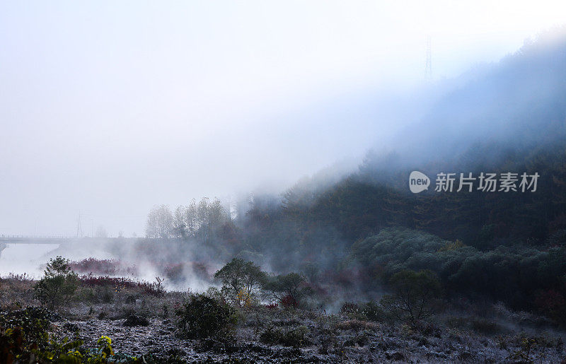 韩国永丹湖附近的VD703秘密花园